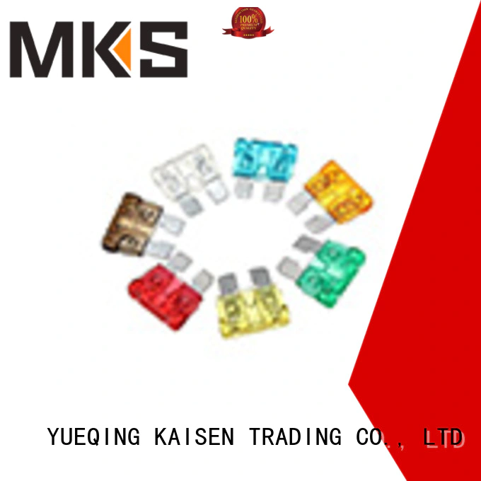 MKS high quality automotive fuses directly sale for home